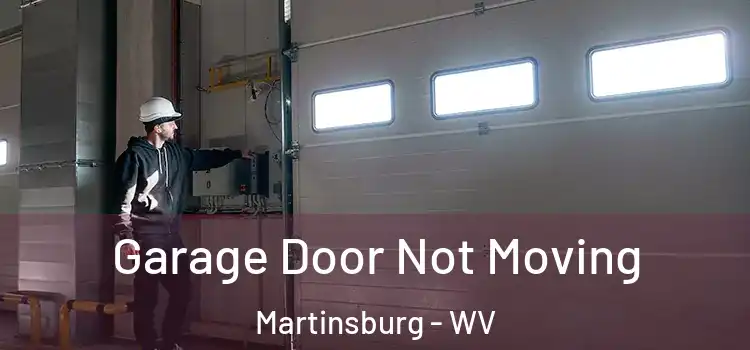  Garage Door Not Moving Martinsburg - WV