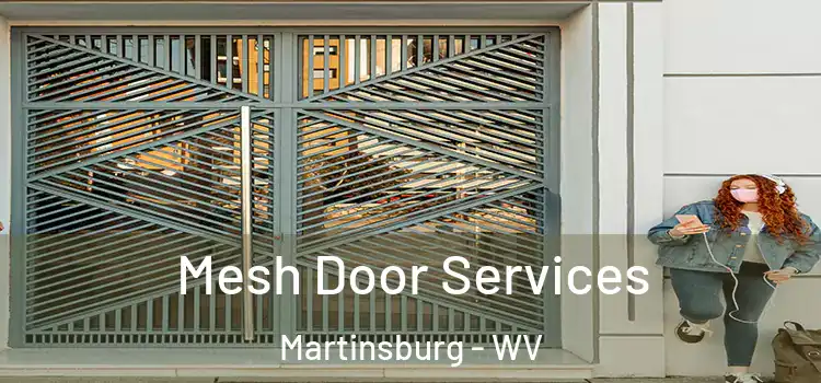 Mesh Door Services Martinsburg - WV