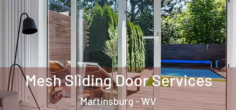 Mesh Sliding Door Services Martinsburg - WV